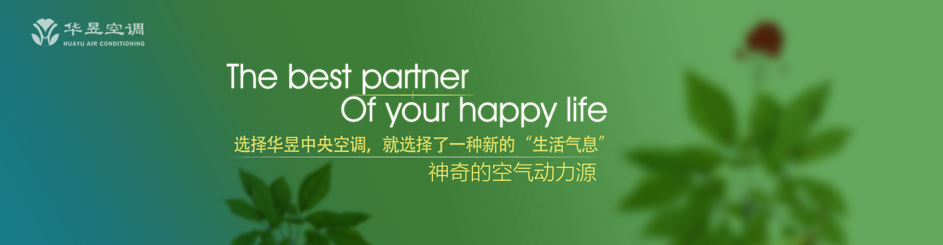 干父之蛊网